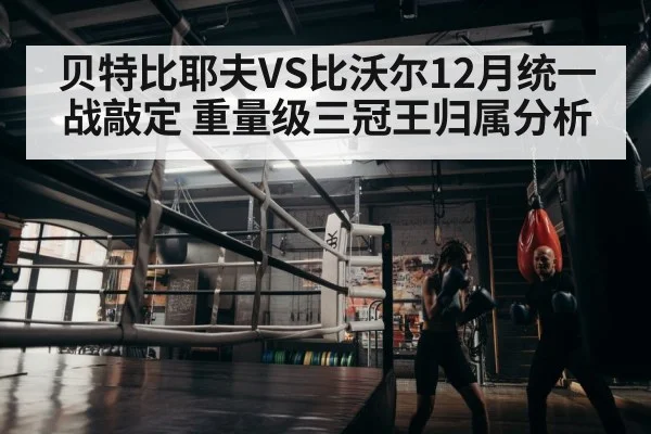 boxer training - jiuyouhui